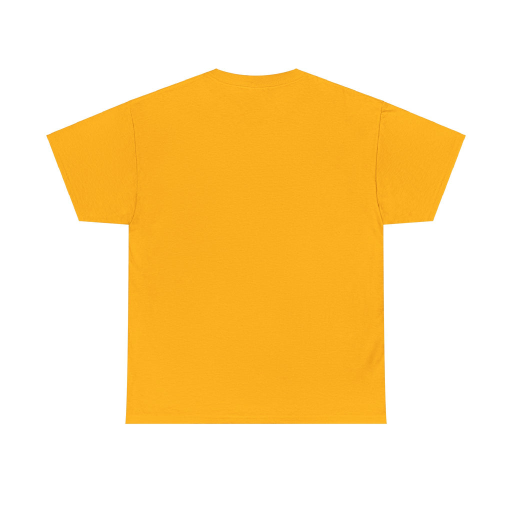 Airplane Mode Aviation Graphic Tee. gift for pilots. flight attendant. aviation lovers.