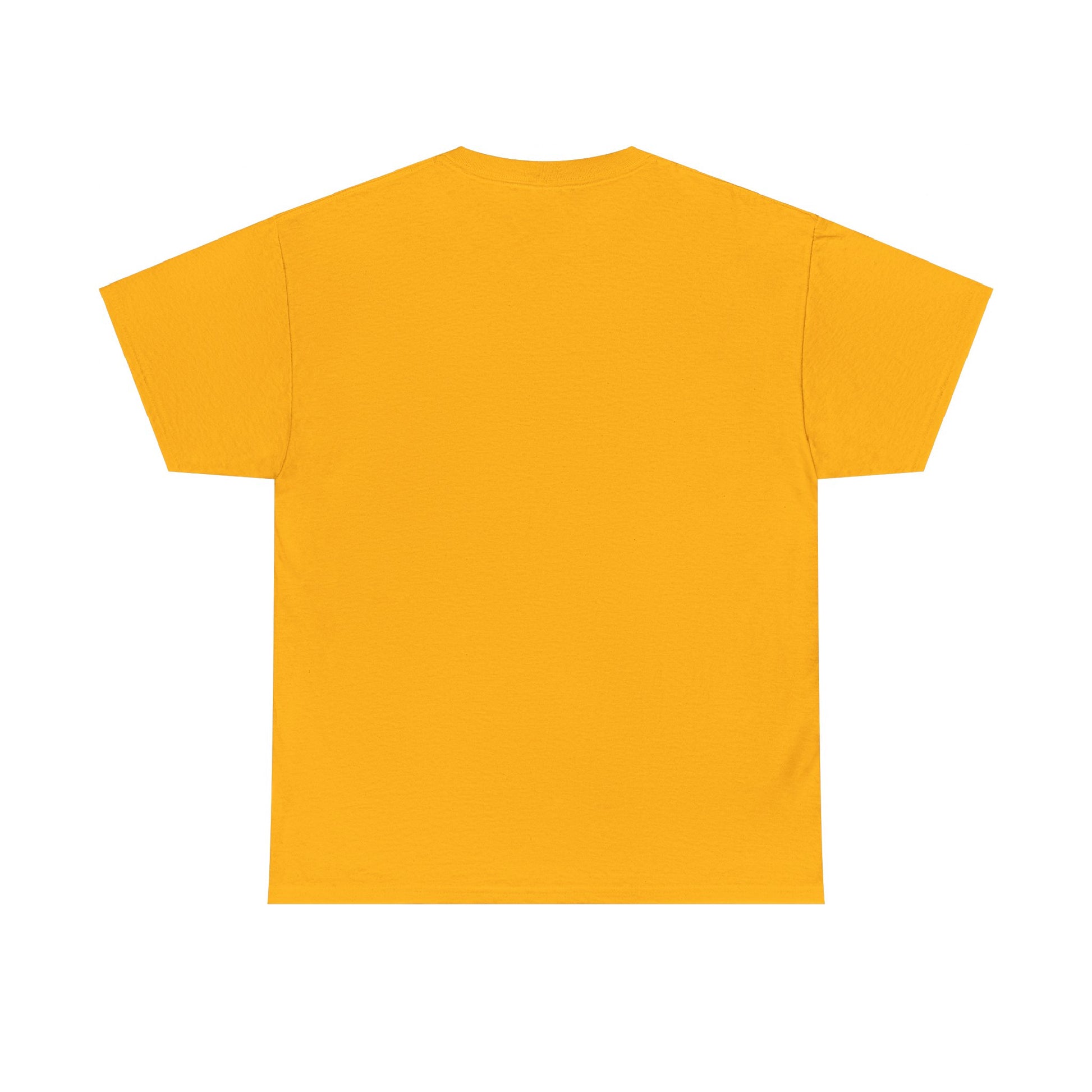 Airplane Mode Aviation Graphic Tee. gift for pilots. flight attendant. aviation lovers.