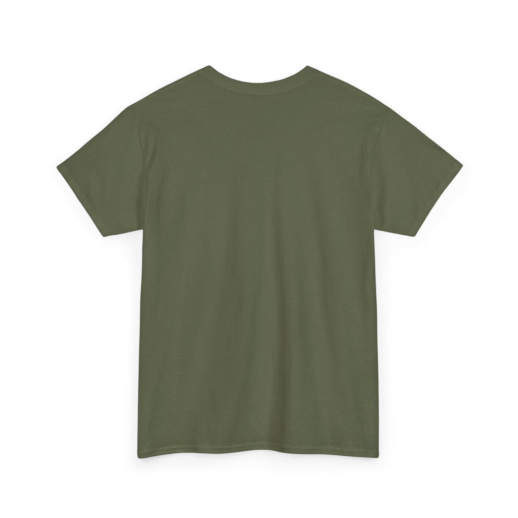 Airplane Mode Aviation Graphic Tee. gift for pilots. flight attendant. aviation lovers.