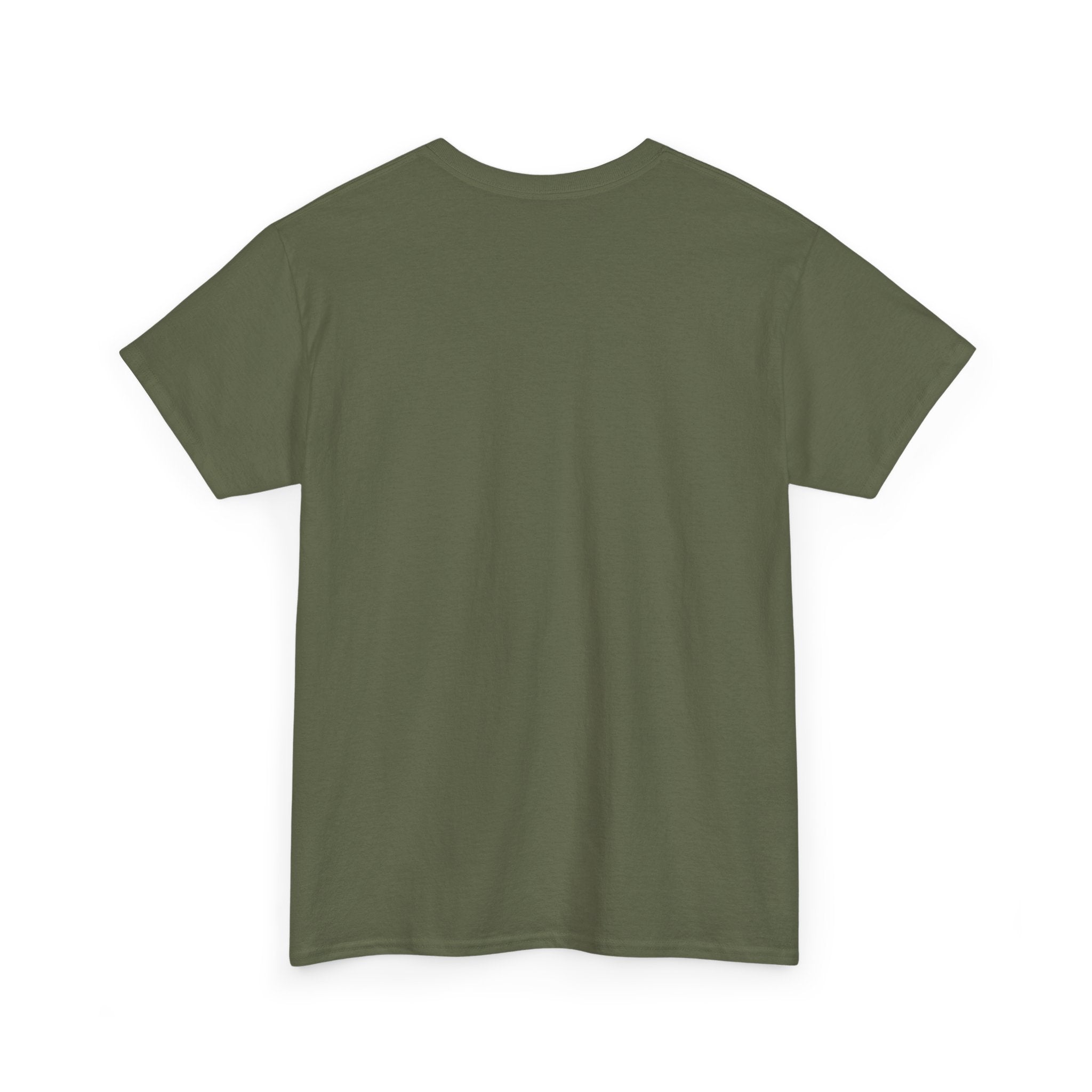 Airplane Mode Aviation Graphic Tee. gift for pilots. flight attendant. aviation lovers.