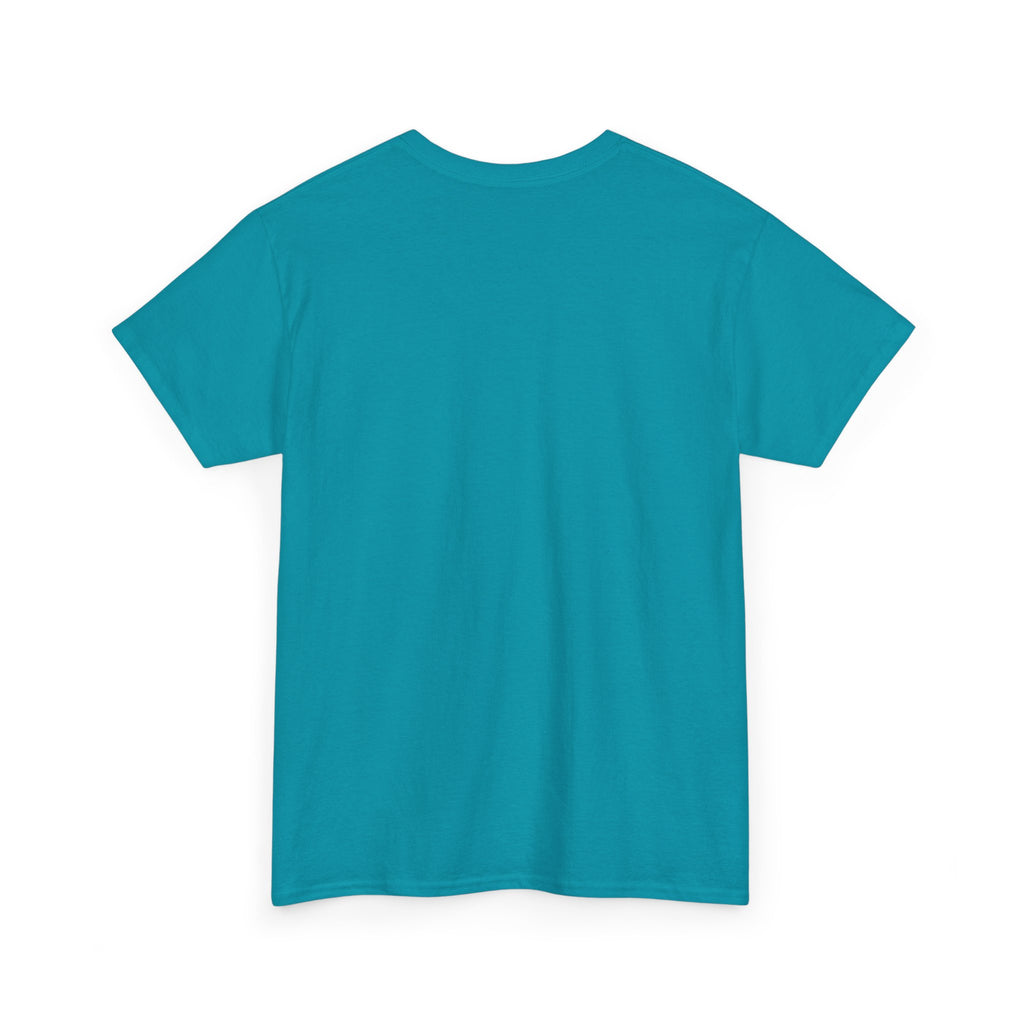 Airplane Mode Aviation Graphic Tee. gift for pilots. flight attendant. aviation lovers.
