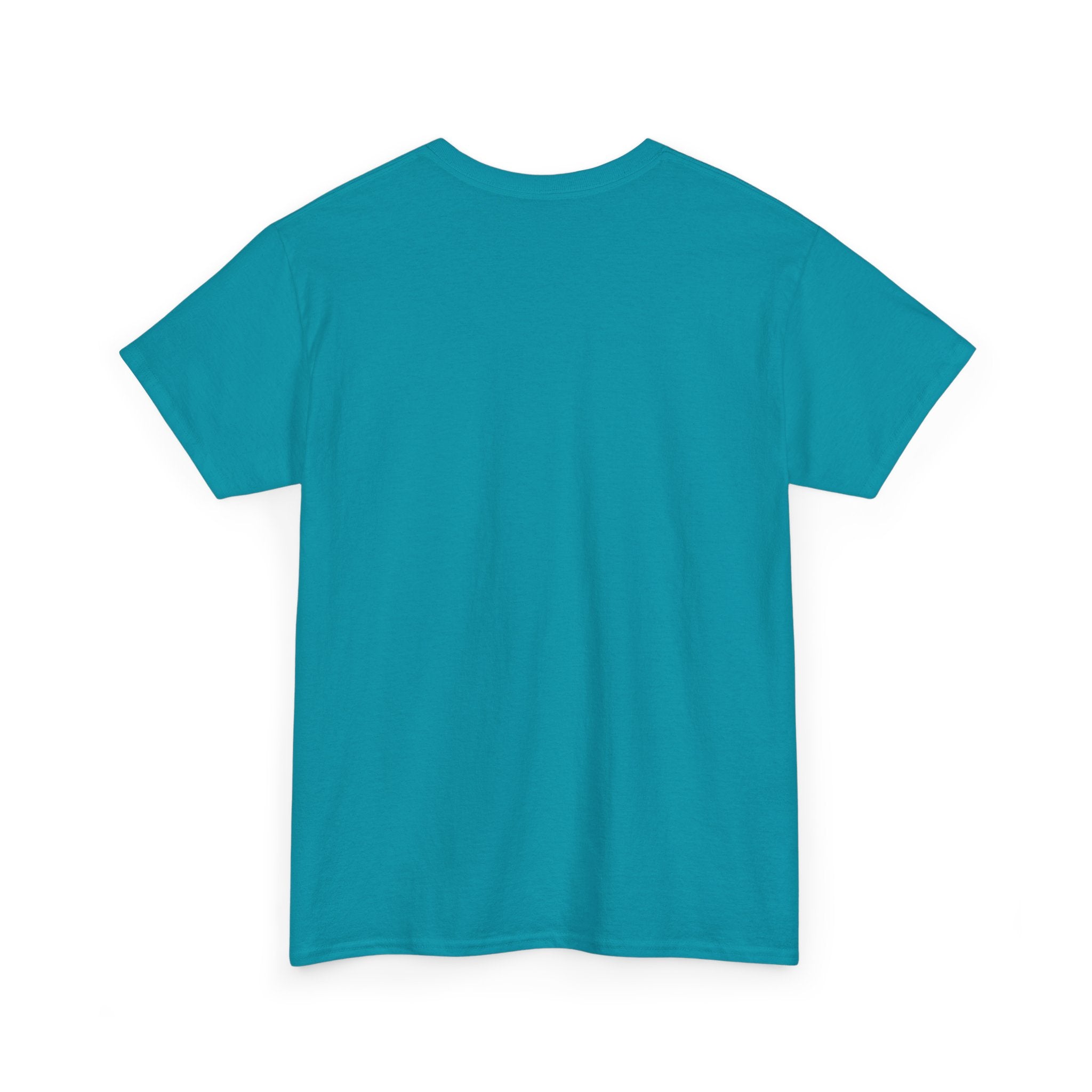 Airplane Mode Aviation Graphic Tee. gift for pilots. flight attendant. aviation lovers.