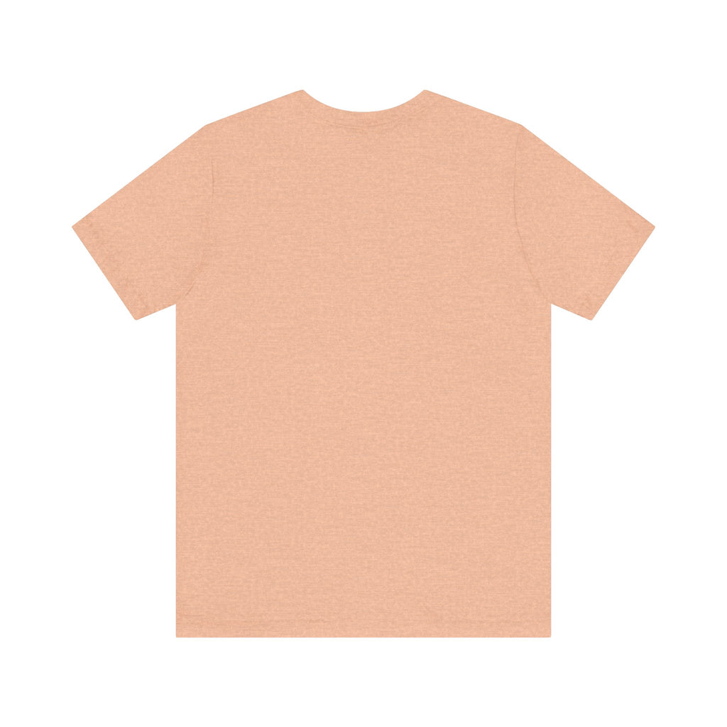 Airplane Mode Aviation Tee. gift for pilots. aviation lovers