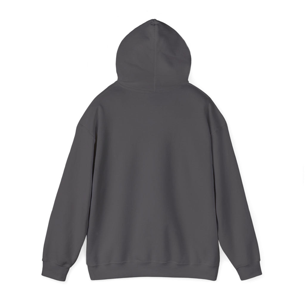 Turbulence in my hair, still don't CARE!. Aviation. gifts. pilots. planes. travel. graphic hoodie