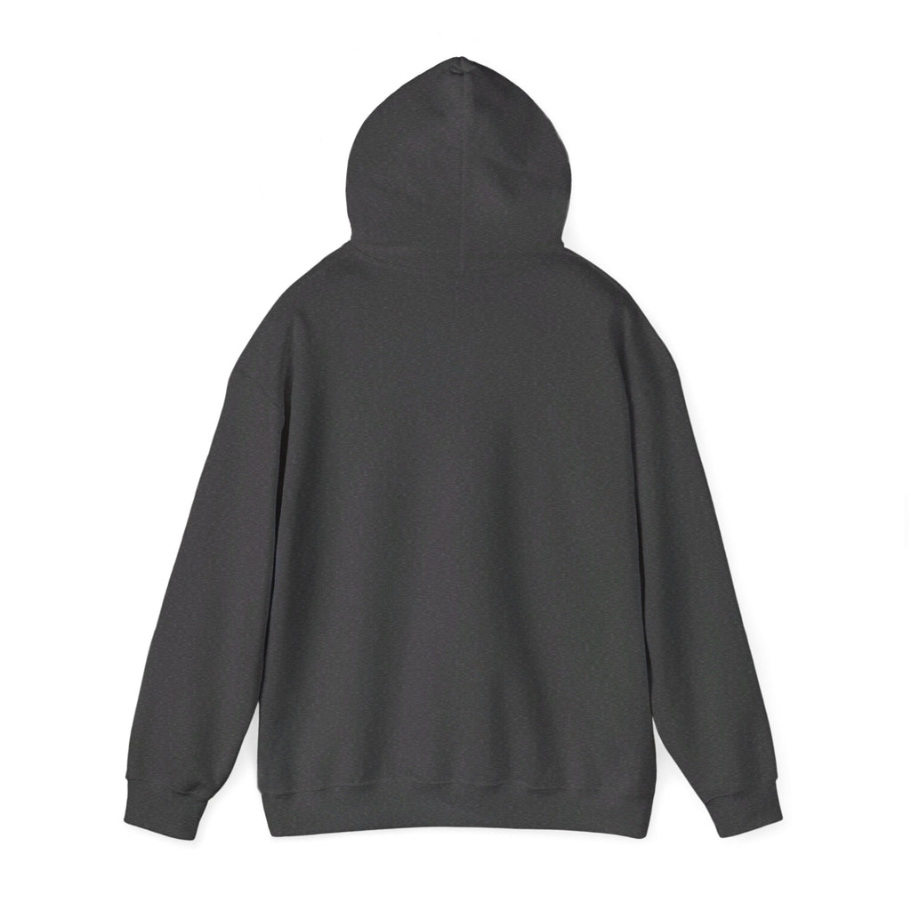 ASTS Hoodie. aviation. space. stocks.