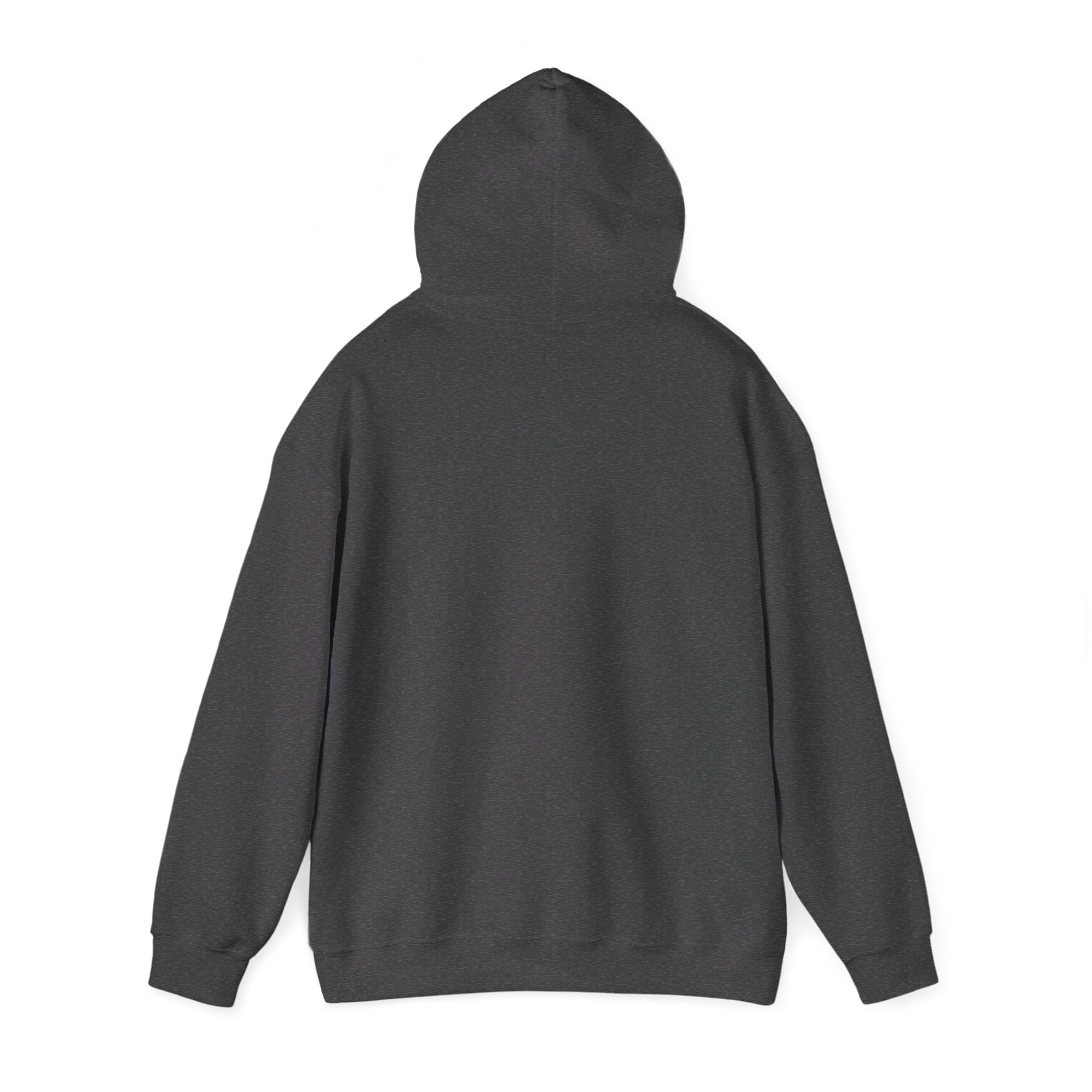 ASTS Hoodie. aviation. space. stocks.