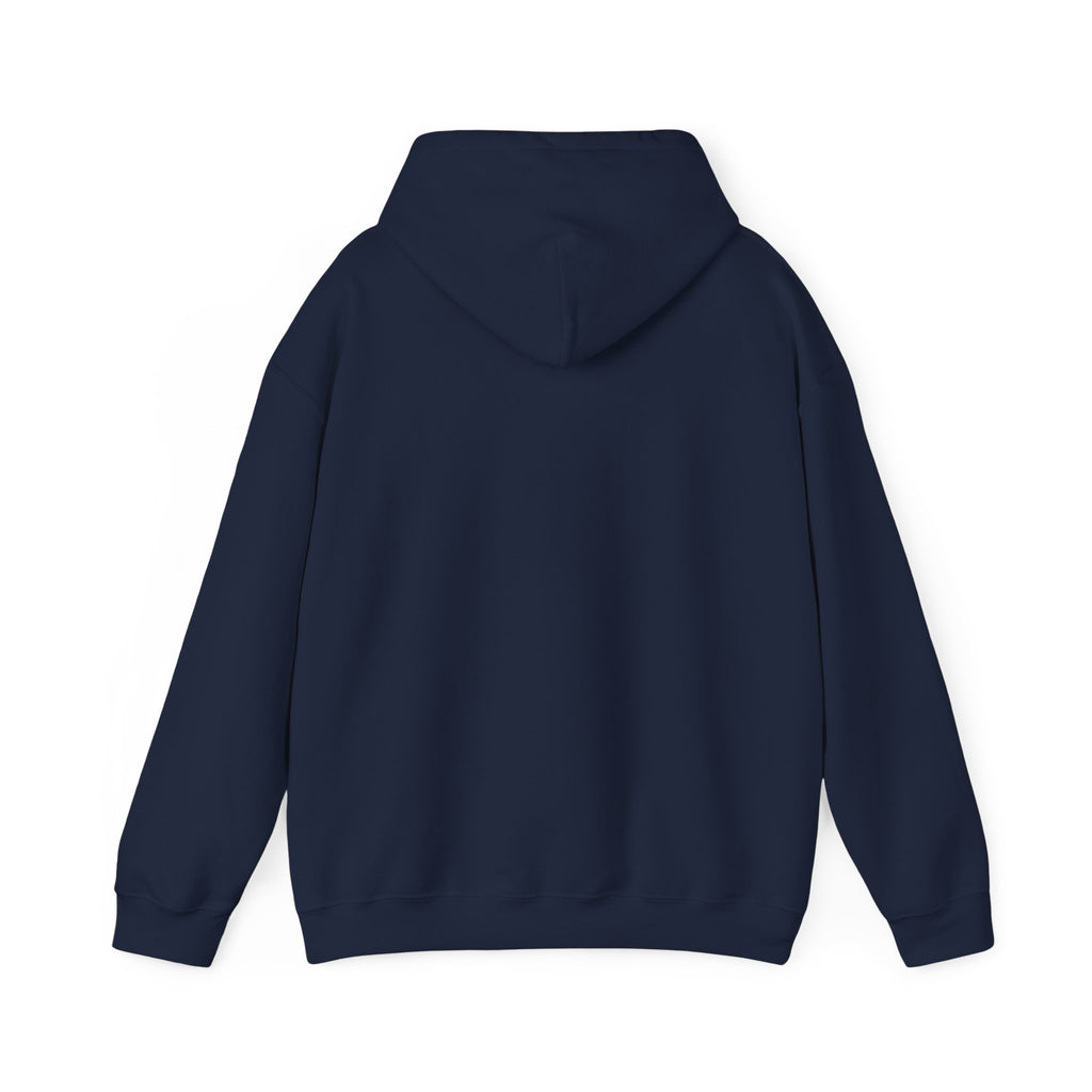 Turbulence in my hair, still don't CARE!. Aviation. gifts. pilots. planes. travel. graphic hoodie