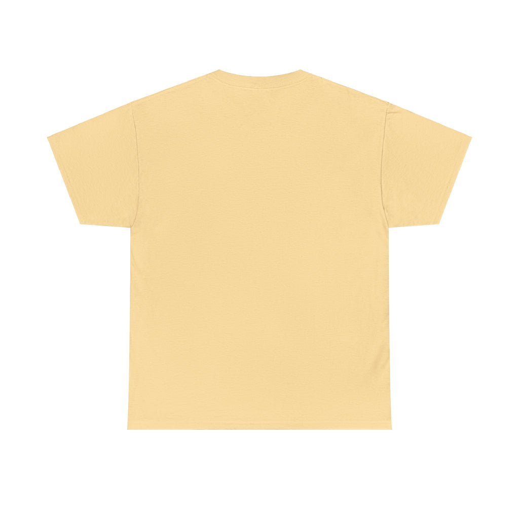 Airplane Mode Aviation Graphic Tee. gift for pilots. flight attendant. aviation lovers.