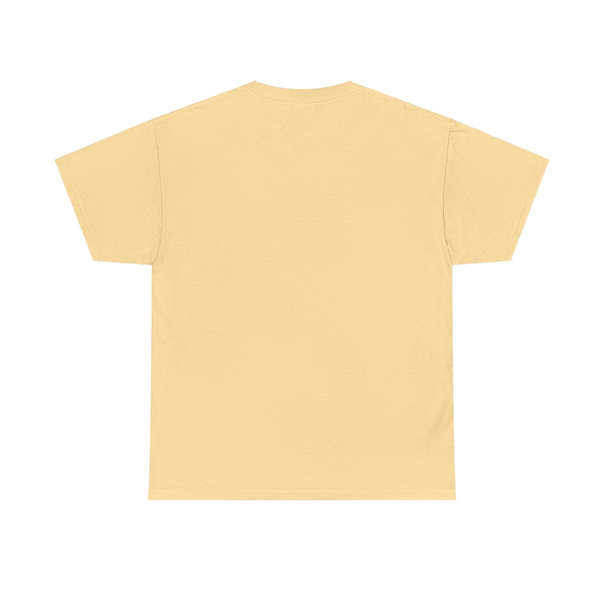 Airplane Mode Aviation Graphic Tee. gift for pilots. flight attendant. aviation lovers.