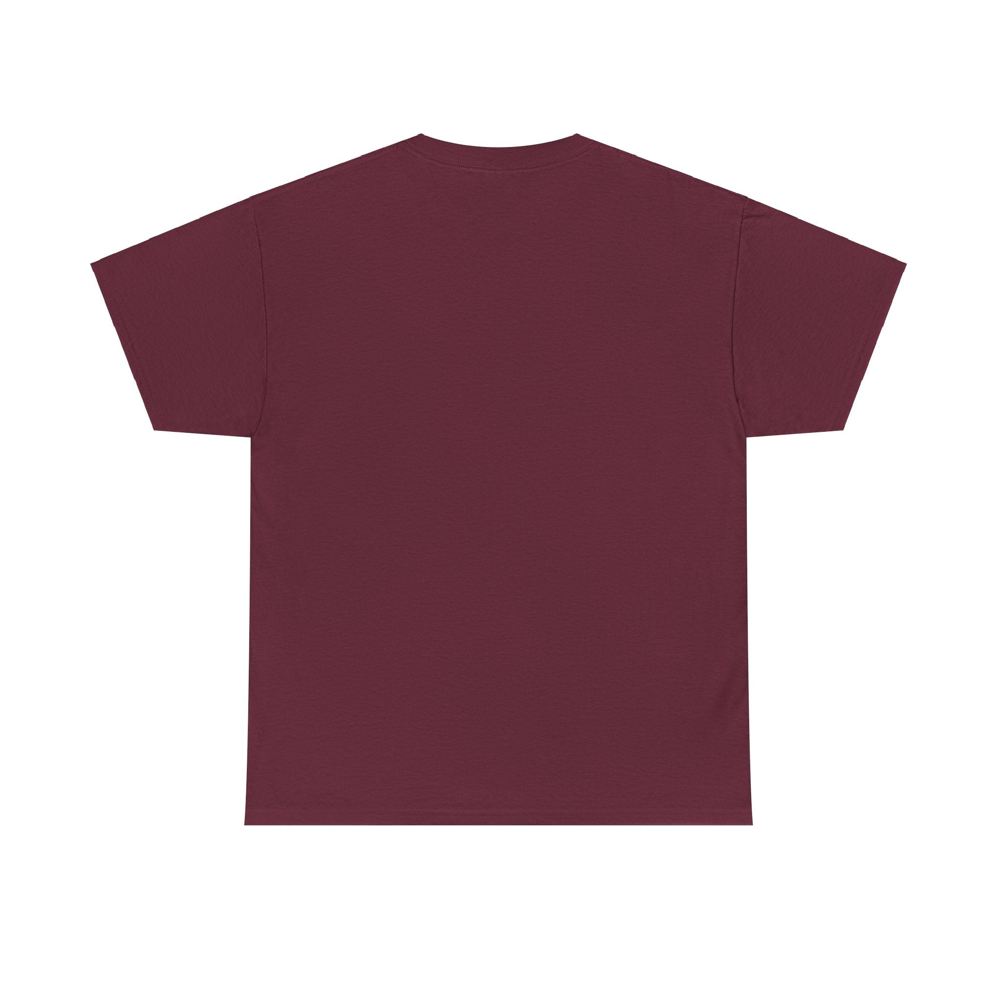 Ramp Life CO. Tee. aviation. gift. pilot. planes. graphic tee. t-shirt