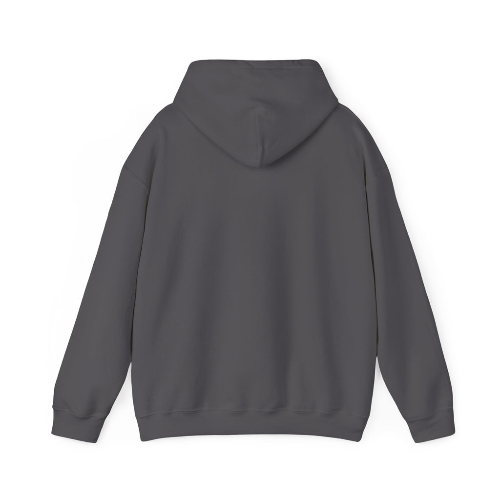 Turbulence in my hair, still don't CARE!. Aviation. gifts. pilots. planes. travel. graphic hoodie