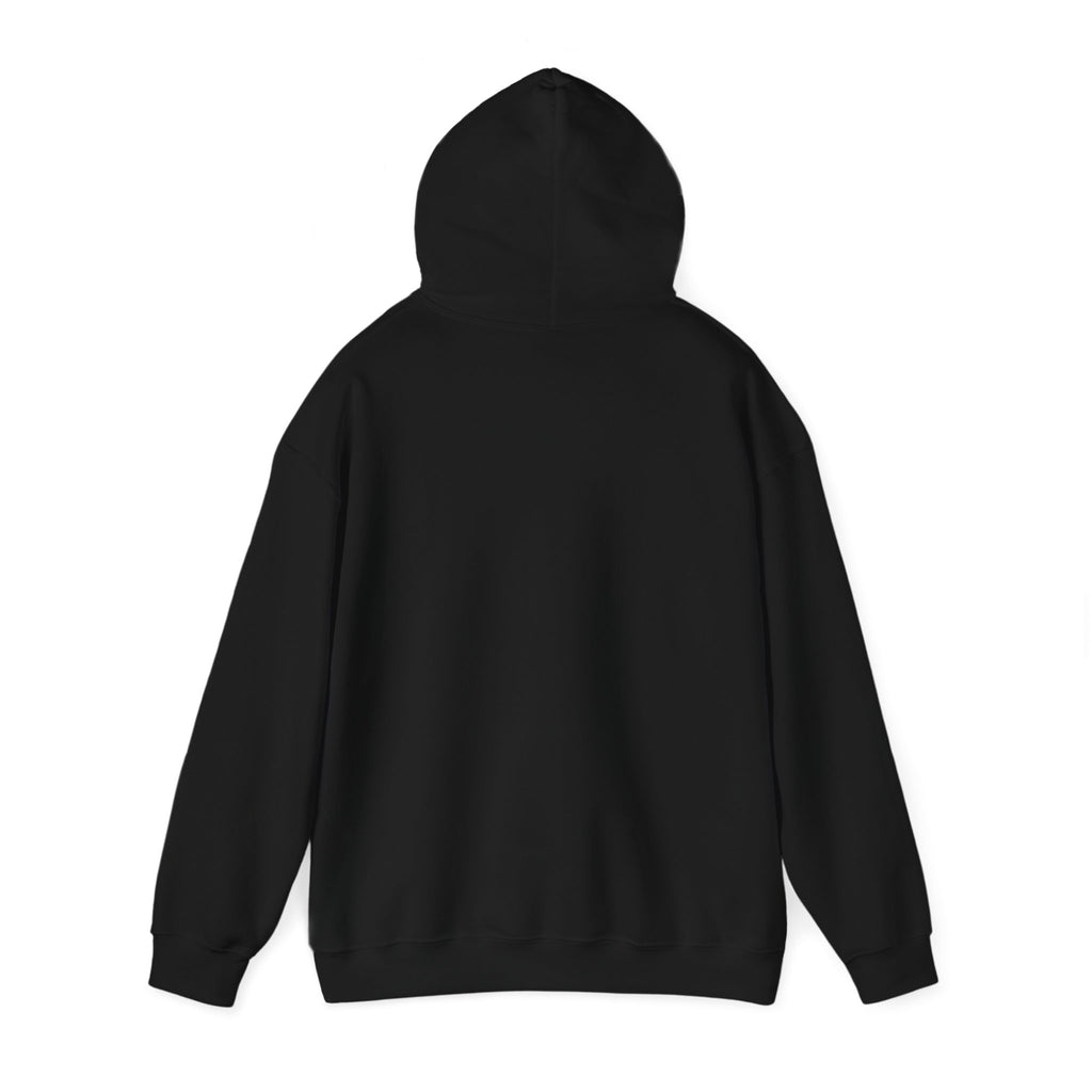 Turbulence in my hair, still don't CARE!. Aviation. gifts. pilots. planes. travel. graphic hoodie