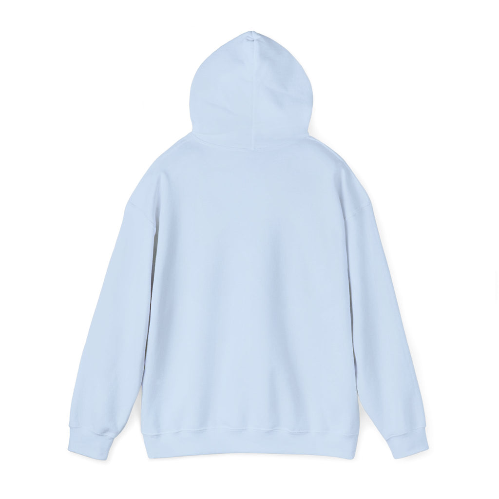 Hoodie — Cirrus Aircraft Logo Pullover