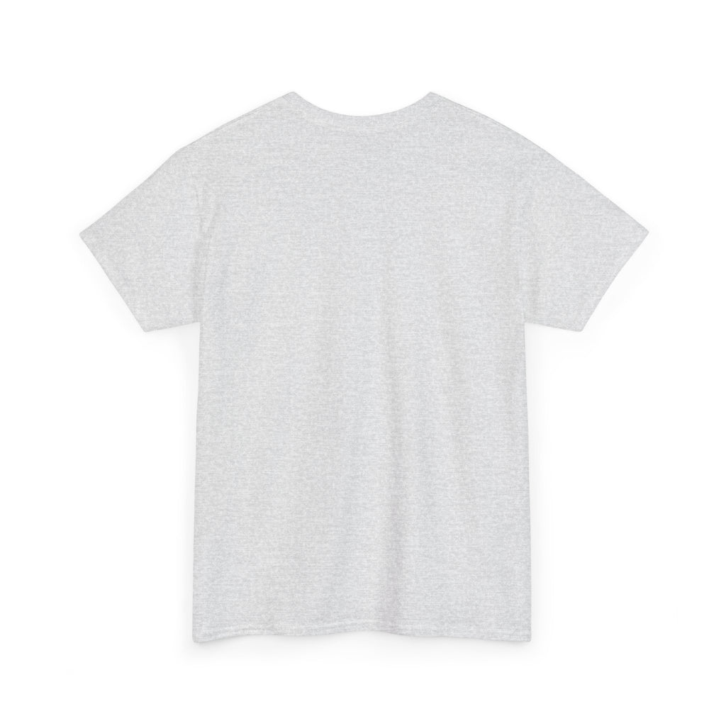 Airplane Mode Aviation Graphic Tee. gift for pilots. flight attendant. aviation lovers.