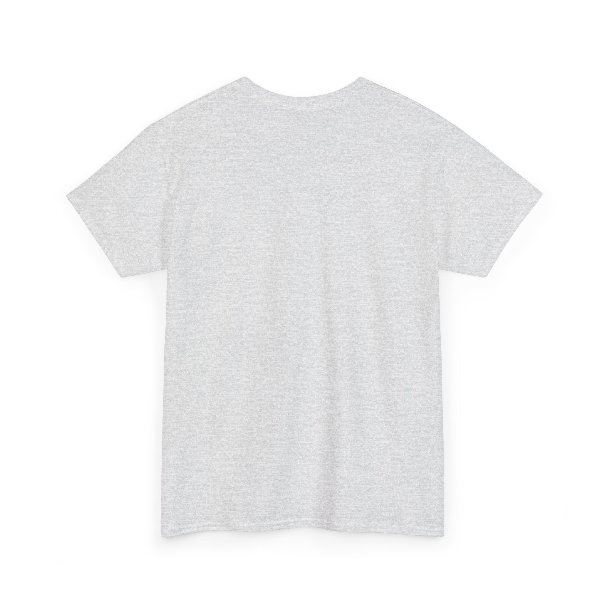 Airplane Mode Aviation Graphic Tee. gift for pilots. flight attendant. aviation lovers.