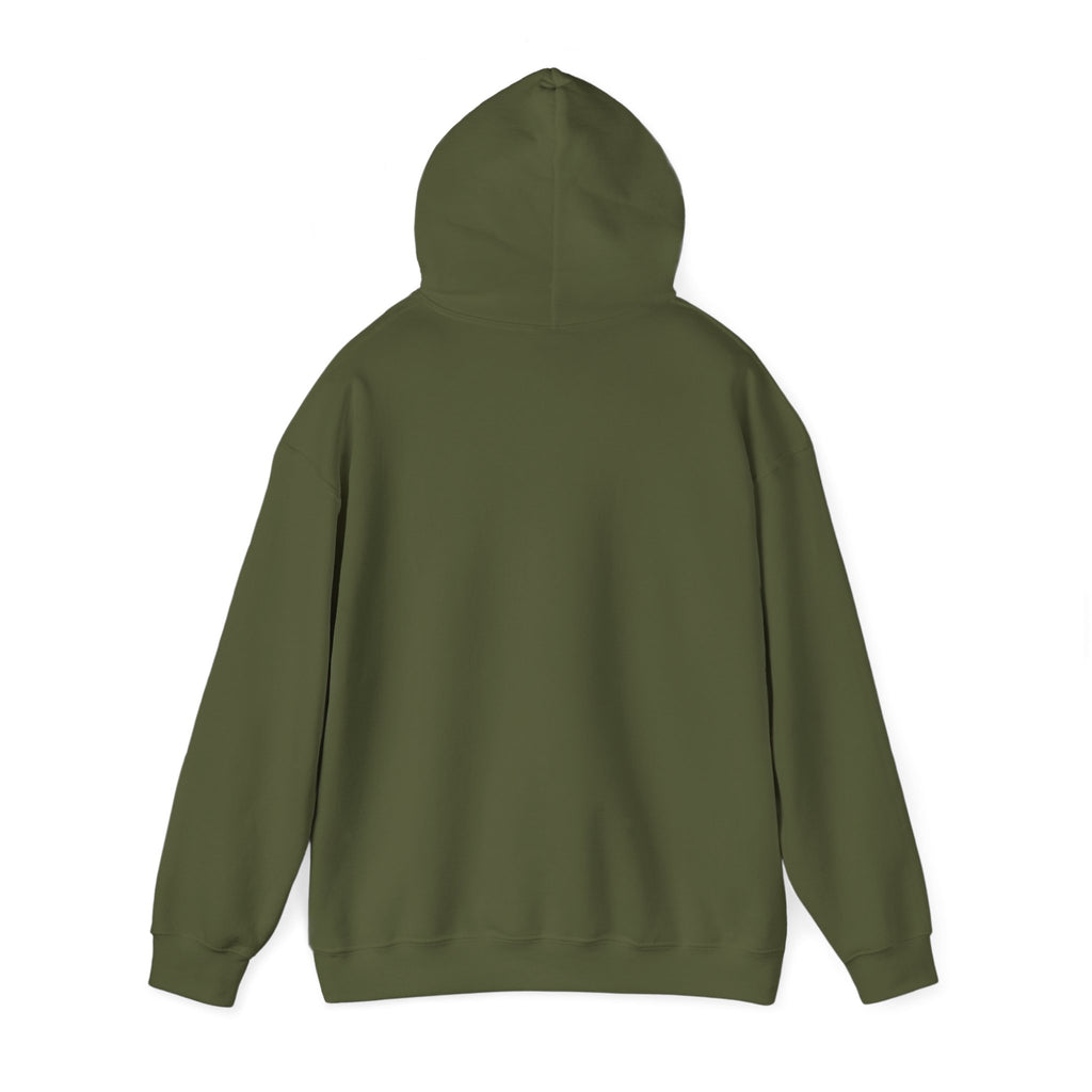Turbulence in my hair, still don't CARE!. Aviation. gifts. pilots. planes. travel. graphic hoodie