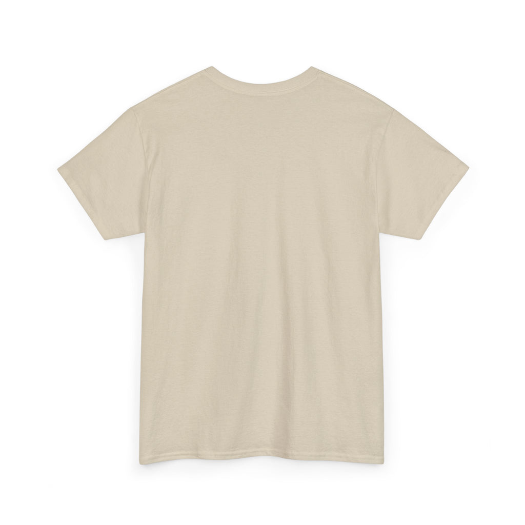 Airplane Mode Aviation Graphic Tee. gift for pilots. flight attendant. aviation lovers.