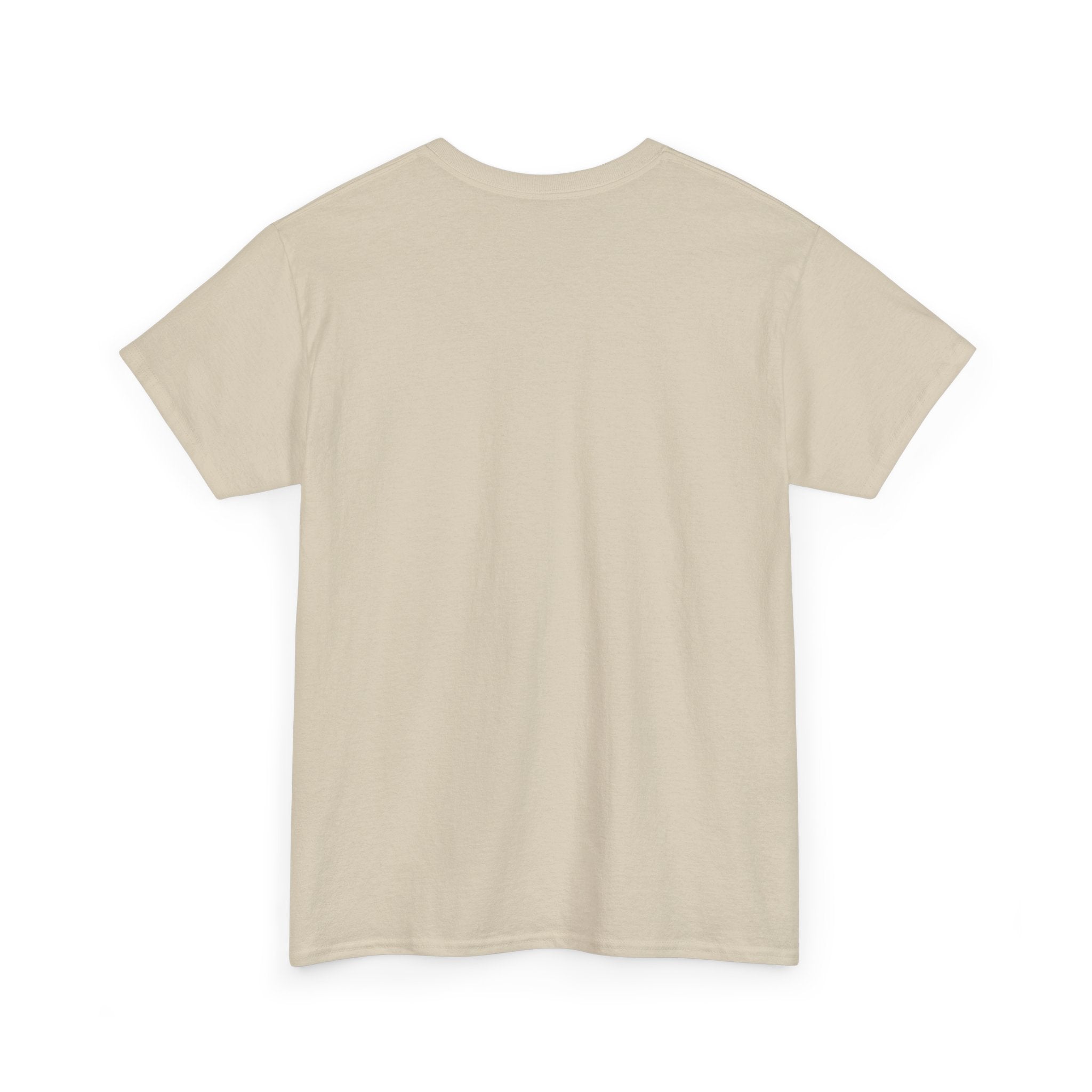 Airplane Mode Aviation Graphic Tee. gift for pilots. flight attendant. aviation lovers.