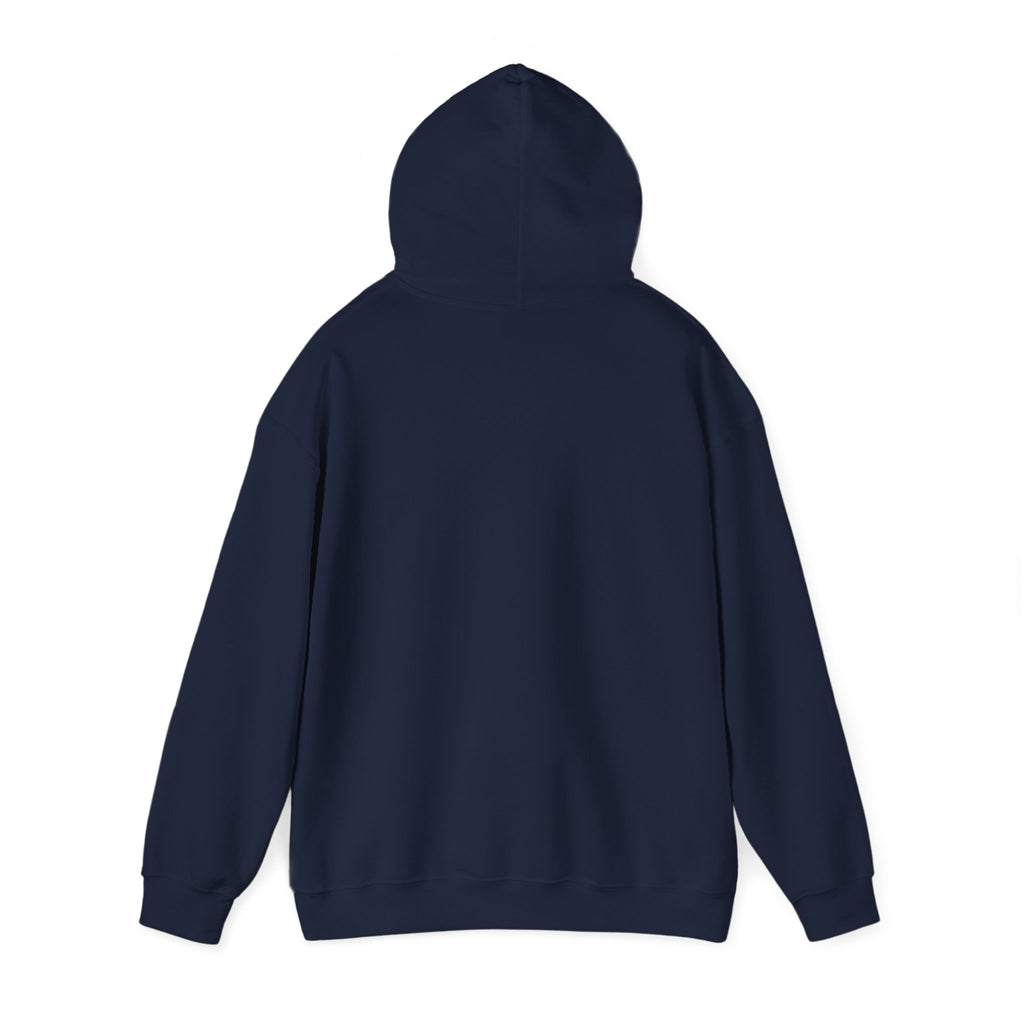 Turbulence in my hair, still don't CARE!. Aviation. gifts. pilots. planes. travel. graphic hoodie