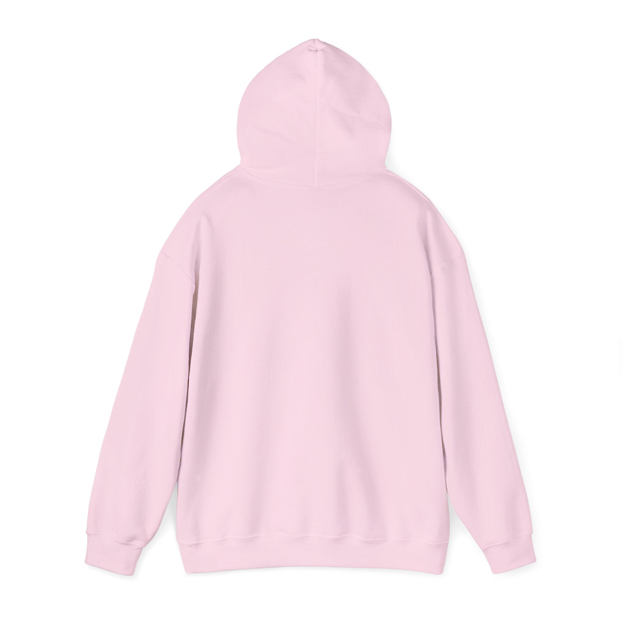 Globe Grid Hoodie - 'AST' Retro Orange Tech Logo