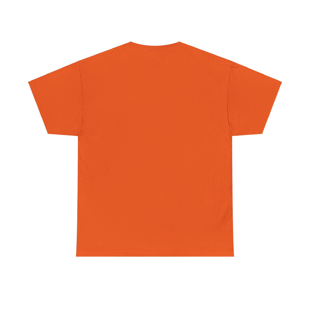 Airplane Mode Aviation Graphic Tee. gift for pilots. flight attendant. aviation lovers.