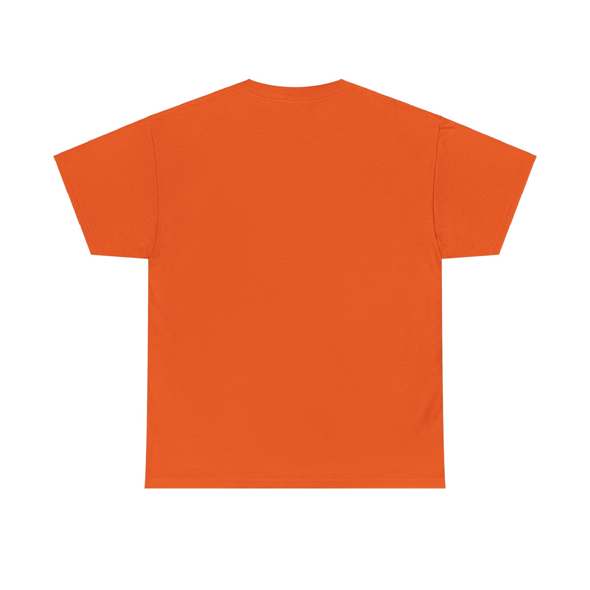 Airplane Mode Aviation Graphic Tee. gift for pilots. flight attendant. aviation lovers.