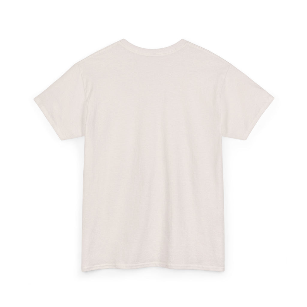 Airplane Mode Aviation Graphic Tee. gift for pilots. flight attendant. aviation lovers.