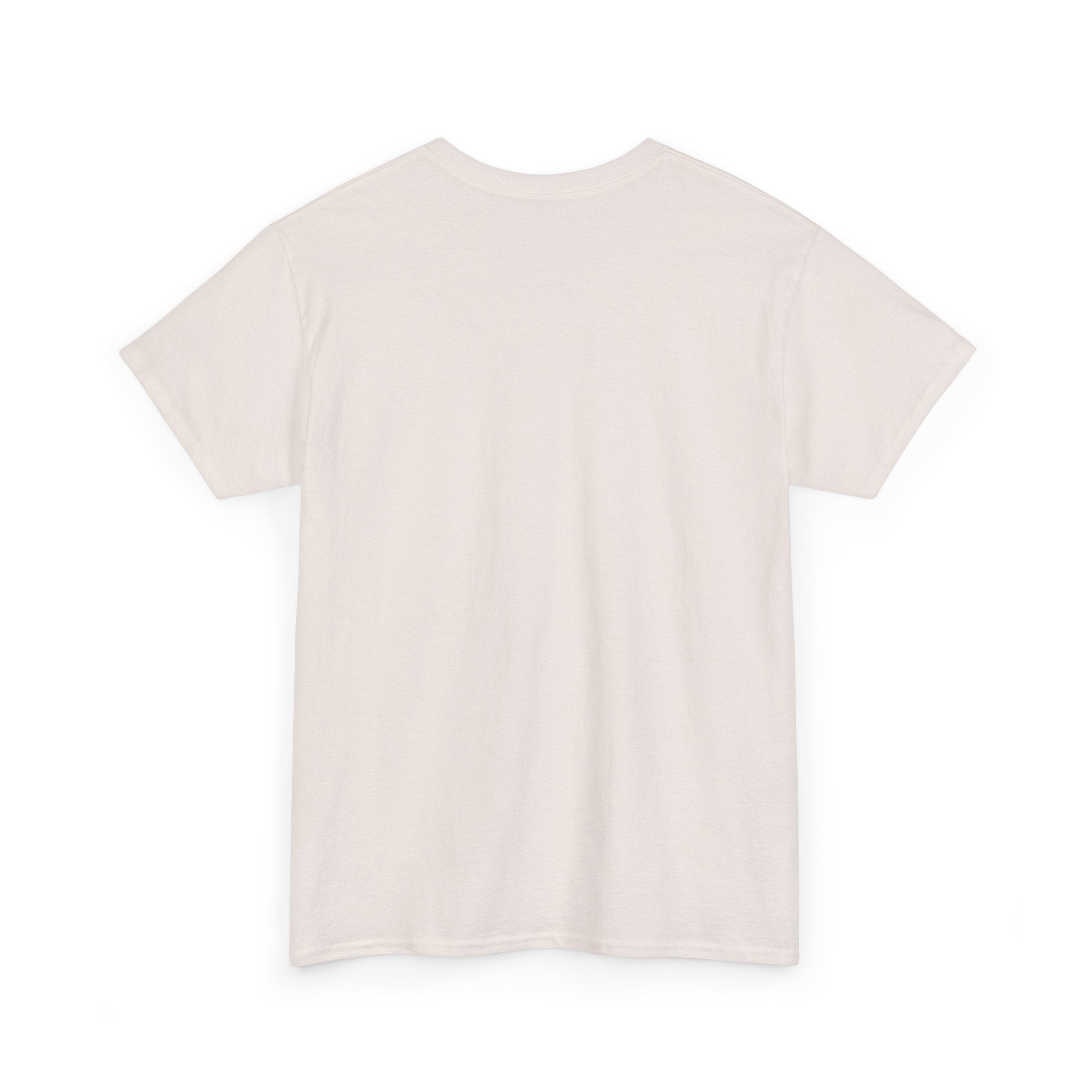 Airplane Mode Aviation Graphic Tee. gift for pilots. flight attendant. aviation lovers.