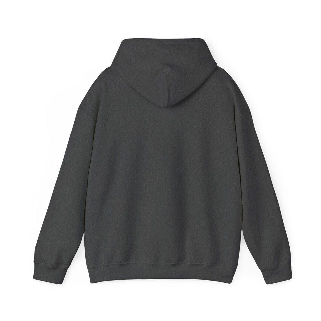 Hoodie — Cirrus Aircraft Logo Pullover