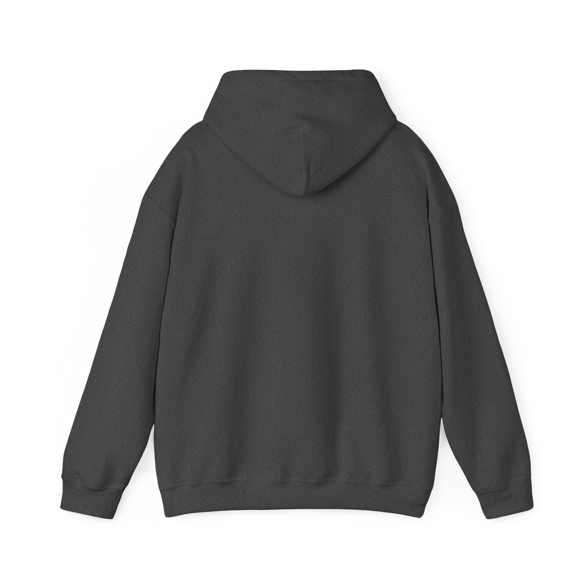 Hoodie — Cirrus Aircraft Logo Pullover