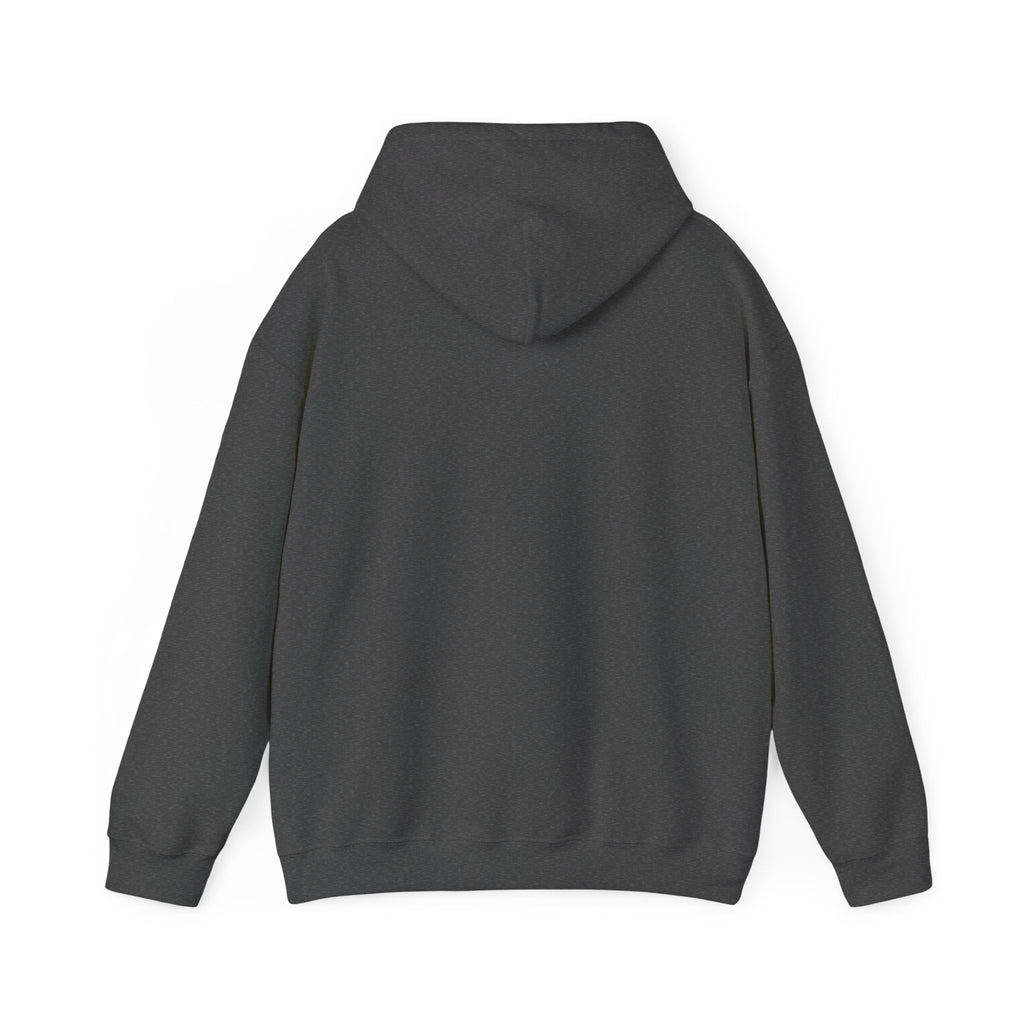Turbulence in my hair, still don't CARE!. Aviation. gifts. pilots. planes. travel. graphic hoodie