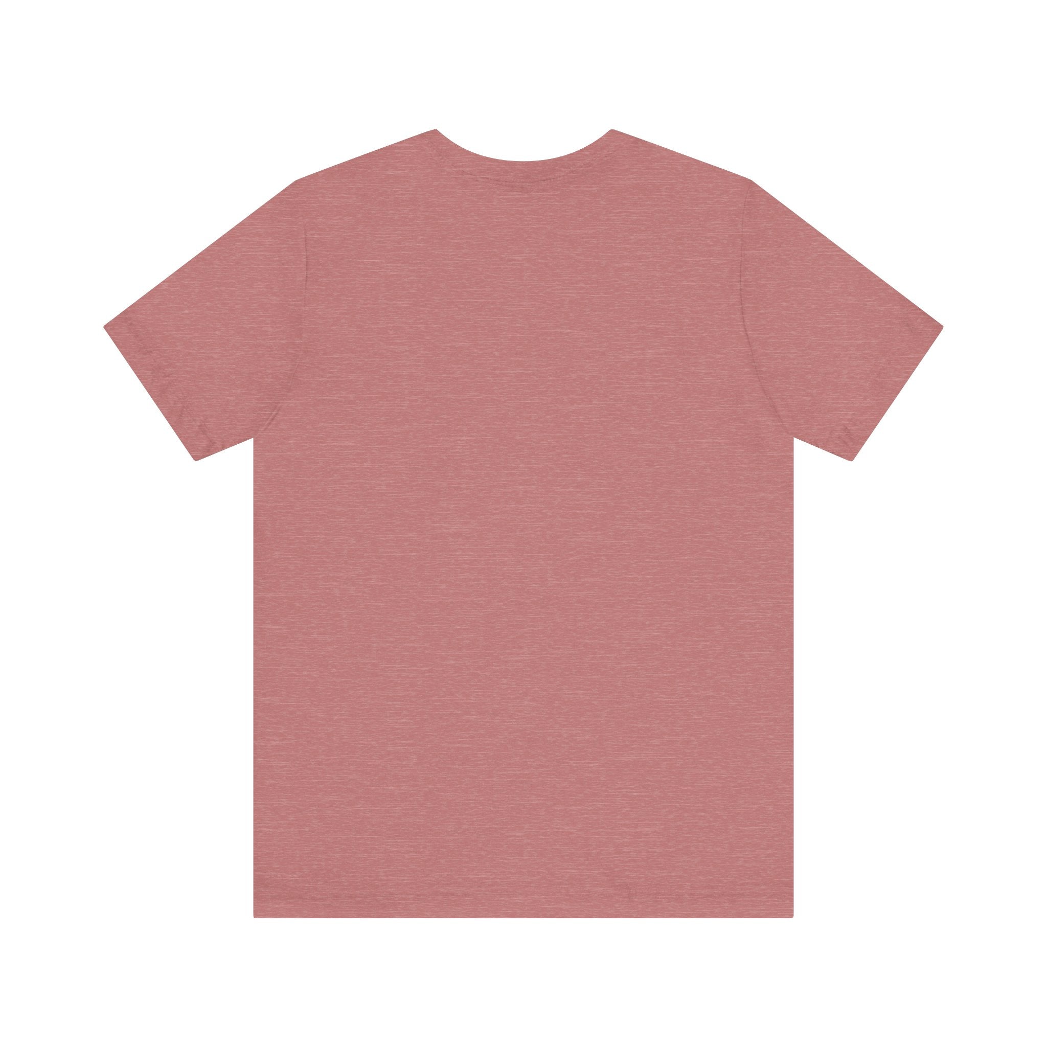 Airplane Mode Aviation Tee. gift for pilots. aviation lovers
