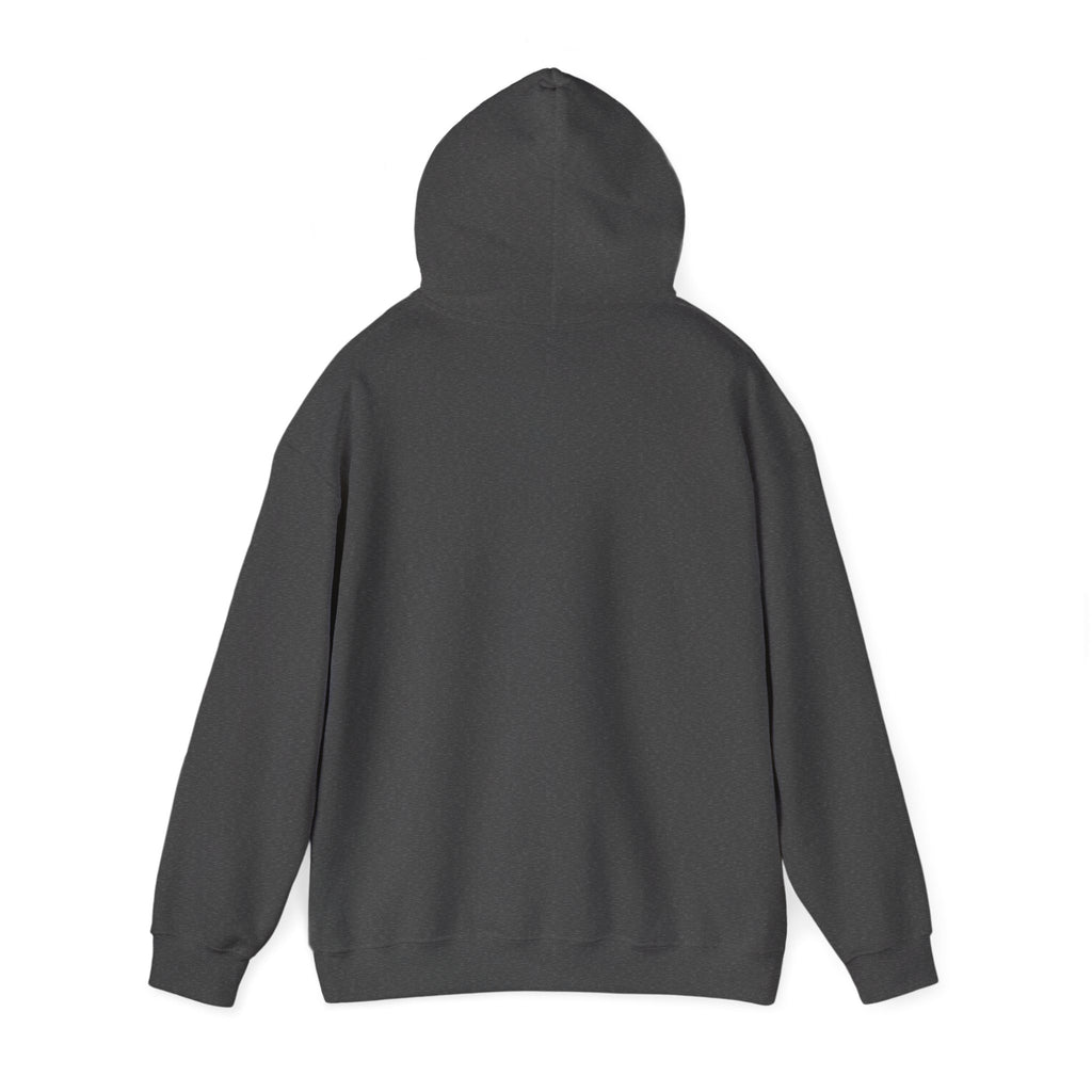 Hoodie — Cirrus Aircraft Logo Pullover