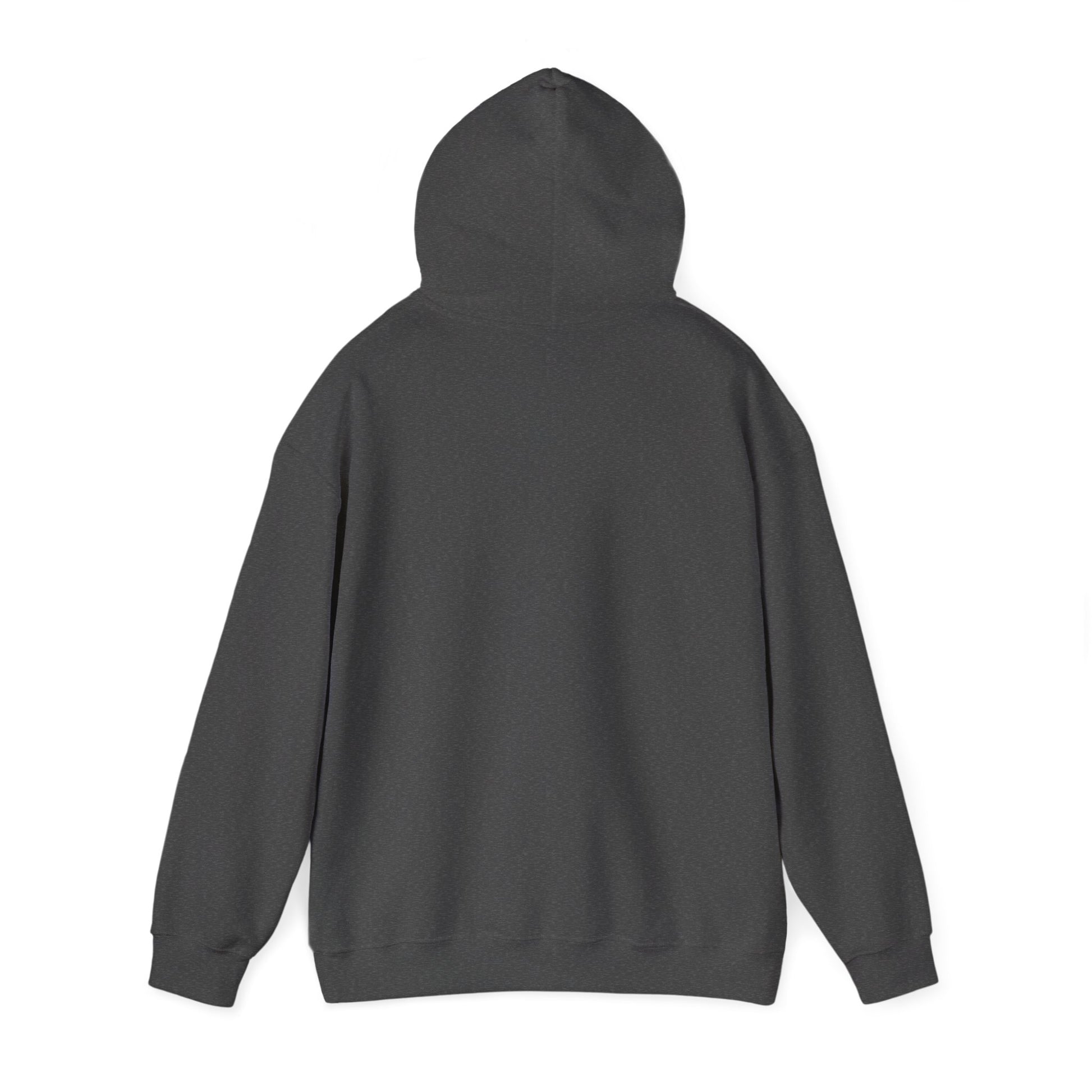 Hoodie — Cirrus Aircraft Logo Pullover