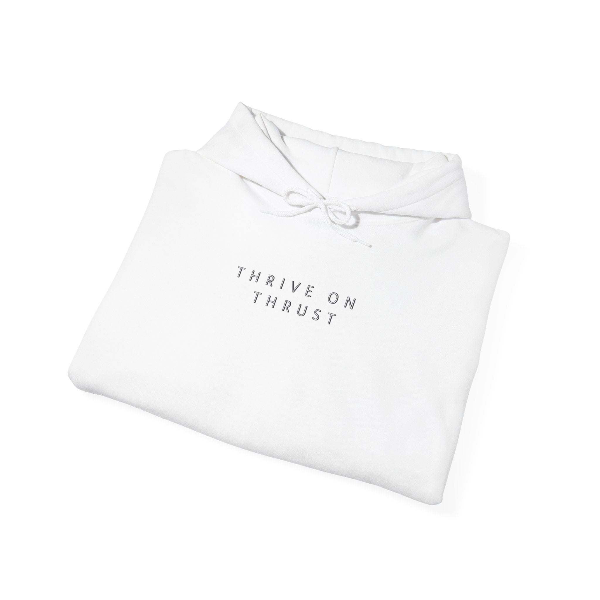 Thrive on Thrust. aviation. gifts for pilots. pilots. planes. gift aviation. graphic hoodie