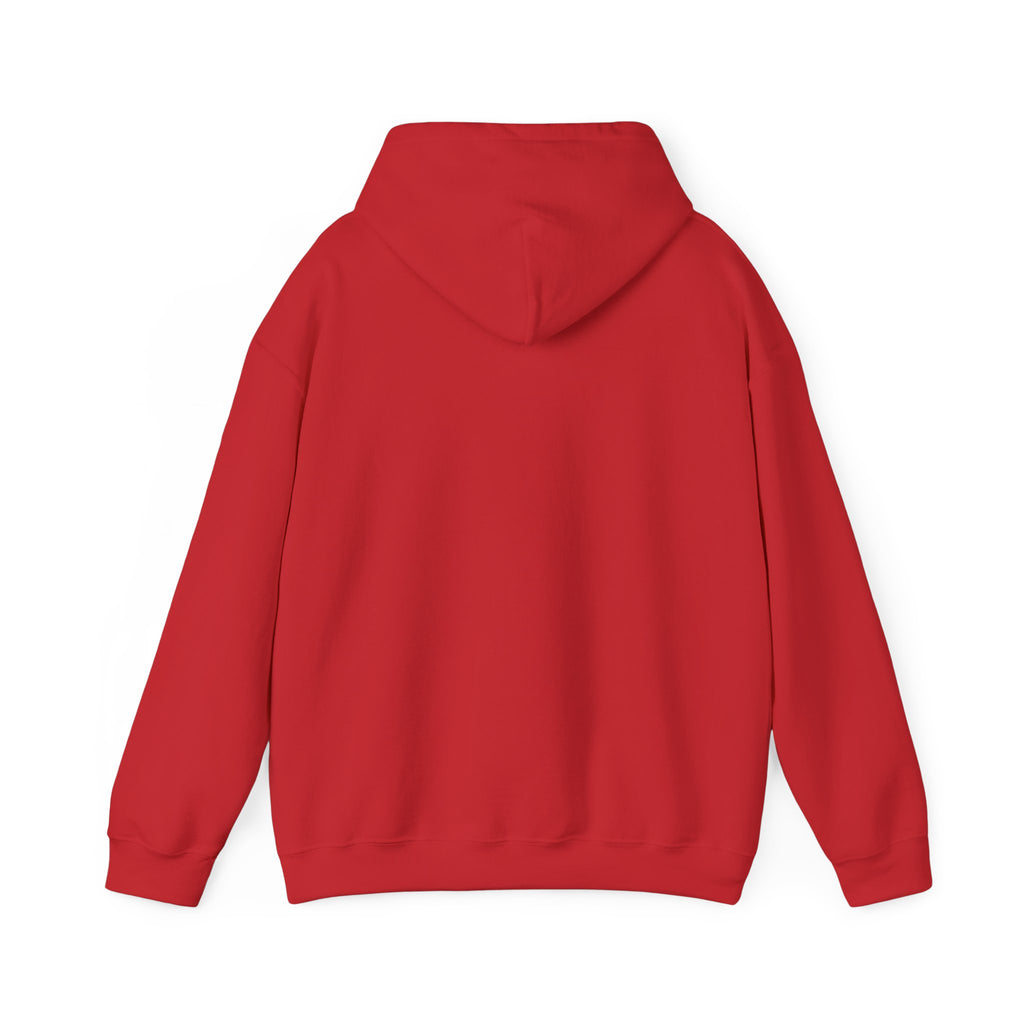 Hoodie — Cirrus Aircraft Logo Pullover