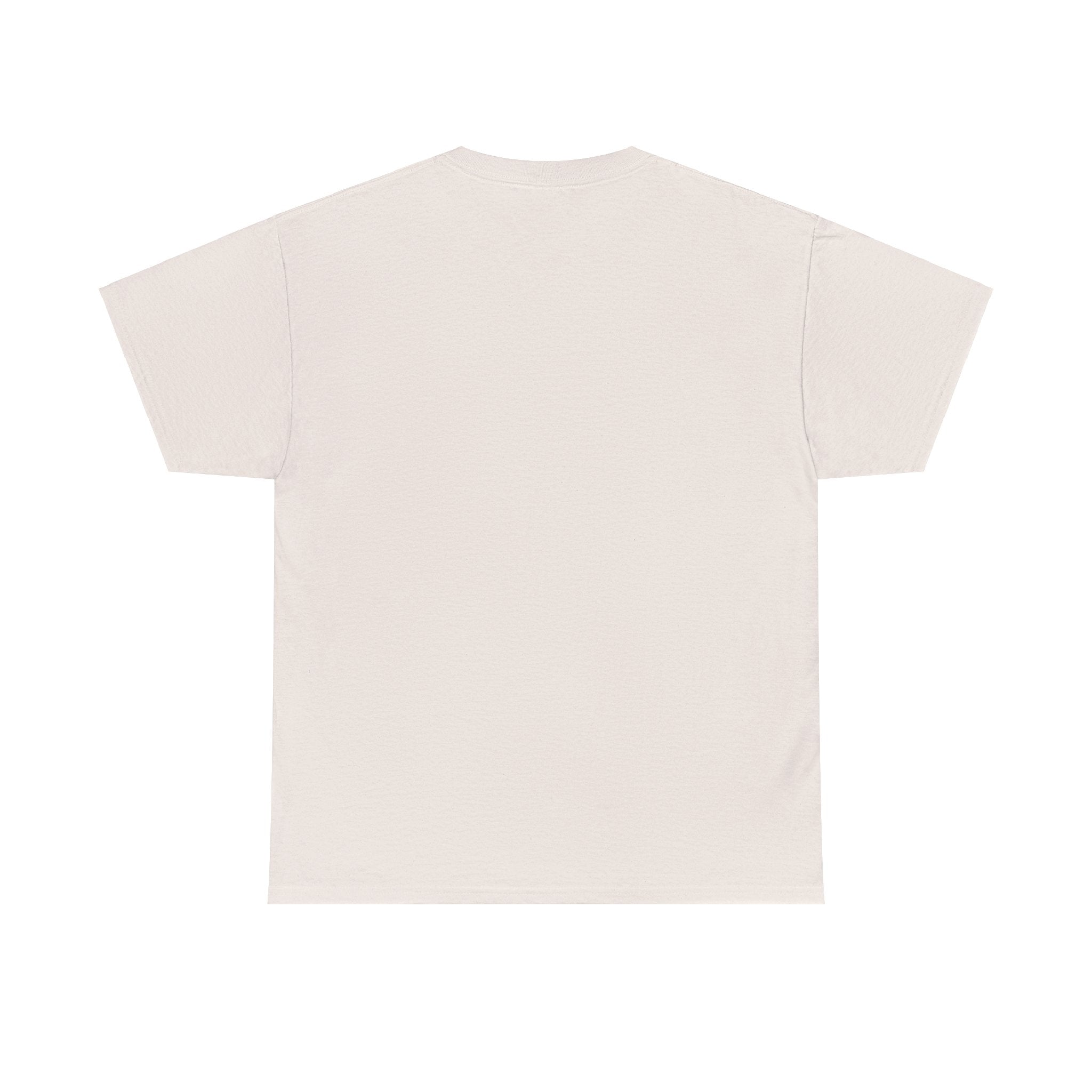 Airplane Mode Aviation Graphic Tee. gift for pilots. flight attendant. aviation lovers.